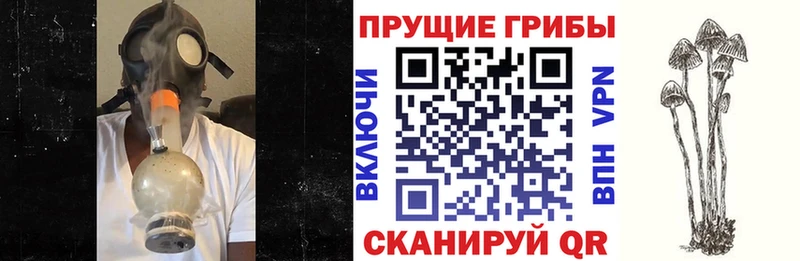 купить наркотик  Нарьян-Мар  Псилоцибиновые грибы мухоморы 